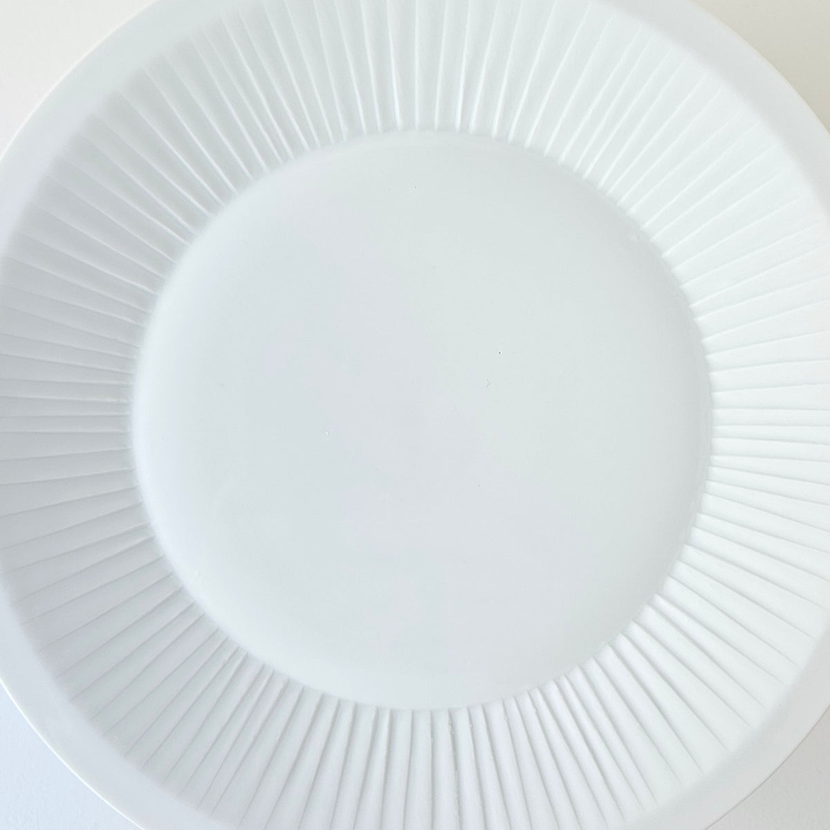 Set of Twelve Dessert Plates – Manufacture Haviland – Limoges, c. 1920–1930