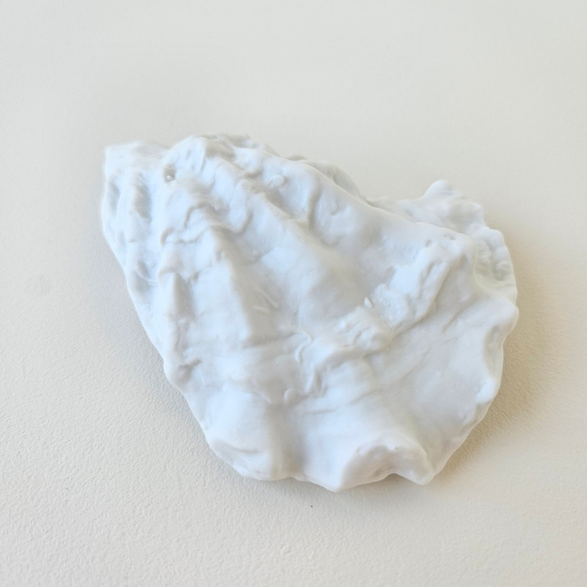 Coquille d’huître en porcelaine blanche, finition biscuit – Limoges, v. 2020