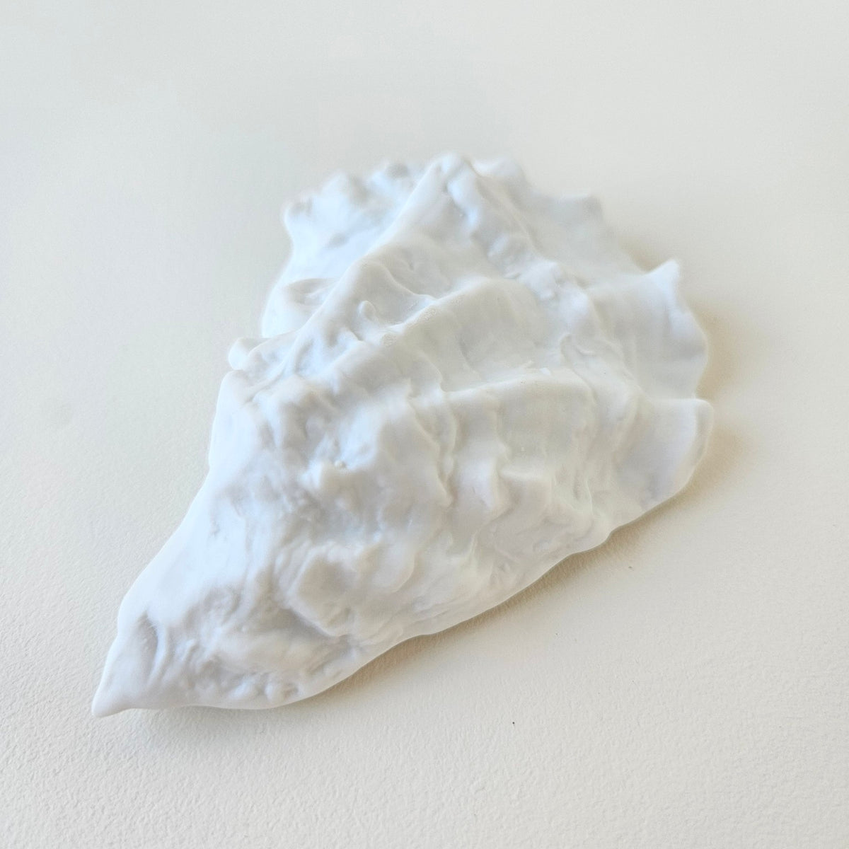 Coquille d’huître en porcelaine blanche, finition biscuit – Limoges, v. 2020