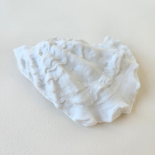 Coquille d’huître en porcelaine blanche, finition biscuit – Limoges, v. 2020